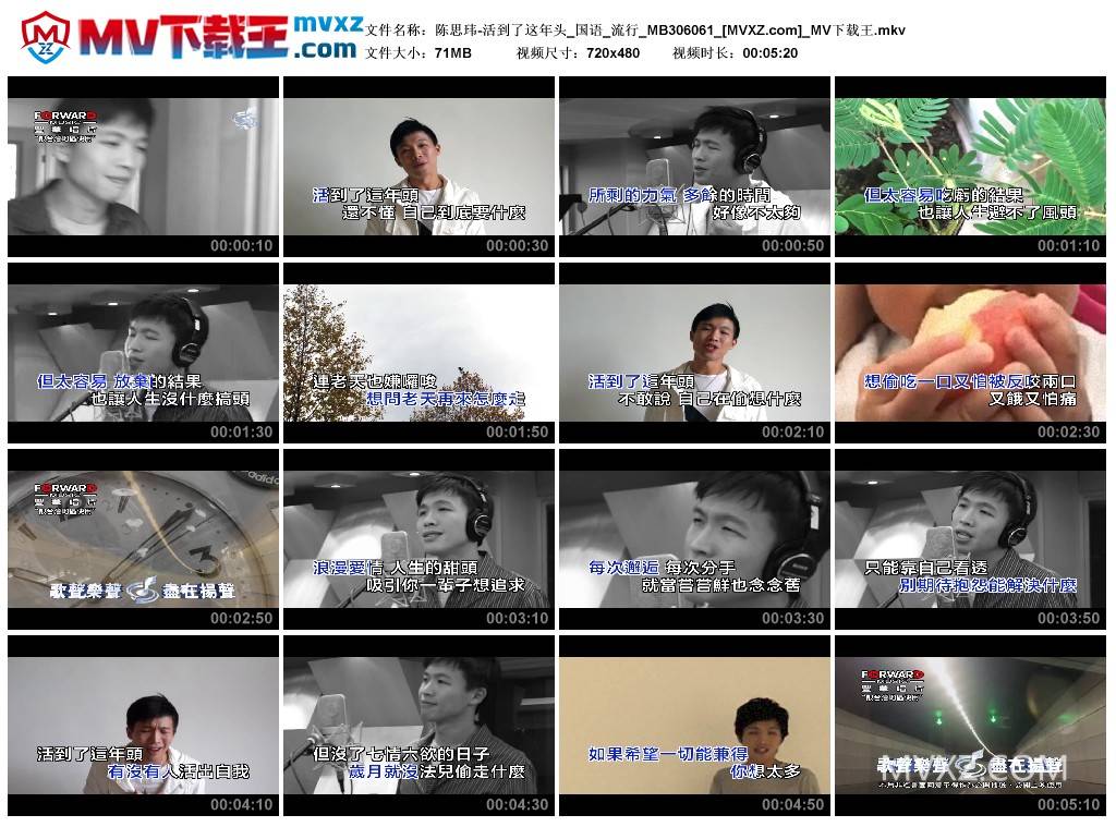 陈思玮-活到了这年头_国语_流行_MB306061